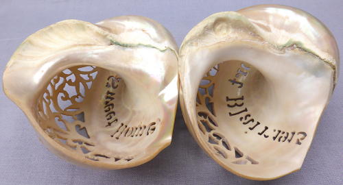 Pair of carved seashells from Port Blair 1915