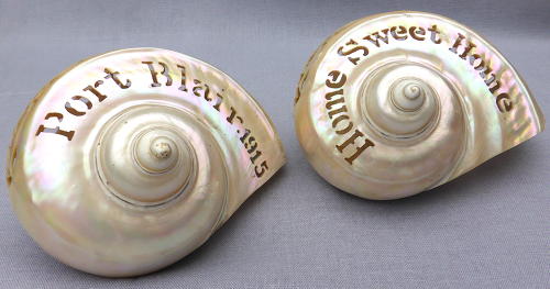 Pair of carved seashells from Port Blair 1915