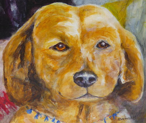 Framed party dogs collograph by Judith Harrison