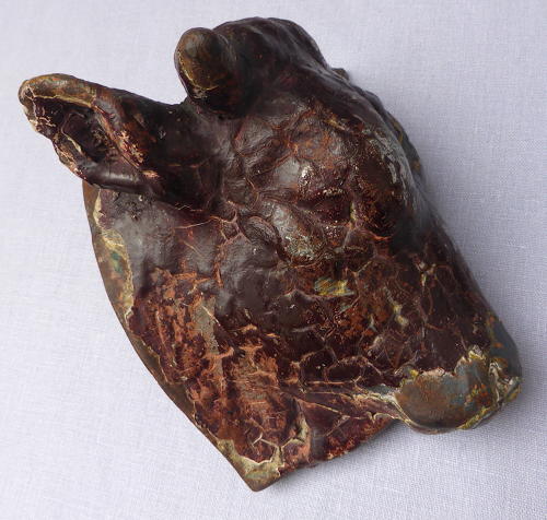 19th century butcher shop cast iron bull's head