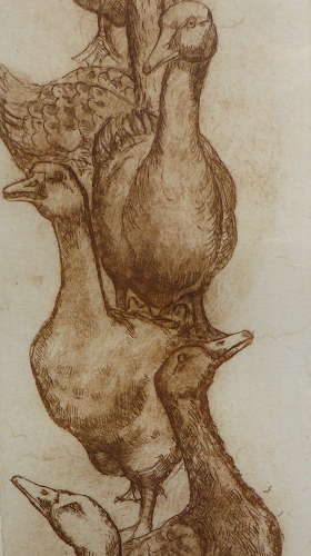 Framed goose etching by Anna Ravenscroft