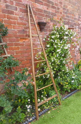 Vintage French Orchard Ladder
