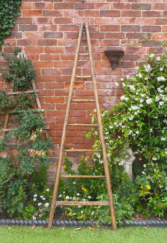 Vintage French Orchard Ladder