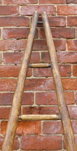 Vintage French Orchard Ladder