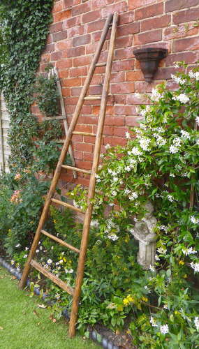 Vintage French Orchard Ladder