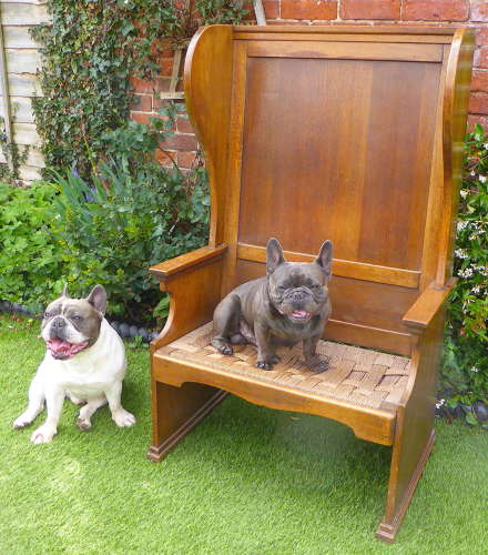 Vernacular Lambing Chair