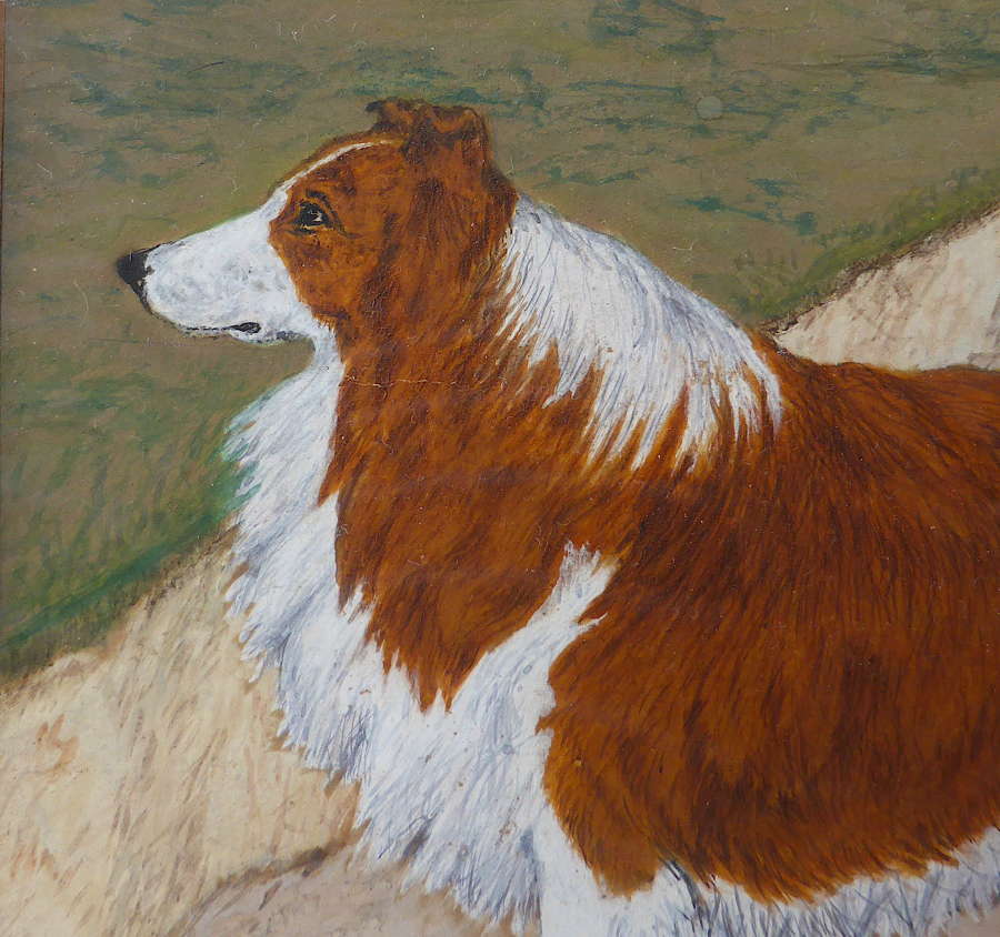 19th Century Painting of a Rough Collie Called Tip