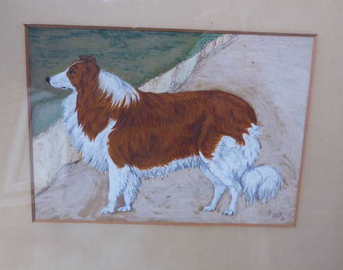 19th Century Painting of a Rough Collie Called Tip