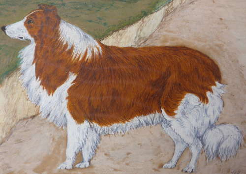 19th Century Painting of a Rough Collie Called Tip