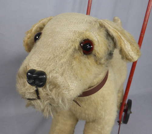 Dean's Push Along Dog on Wheels