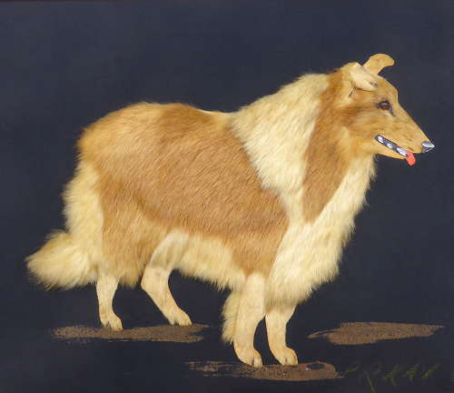 Unusual Fur Dog Picture