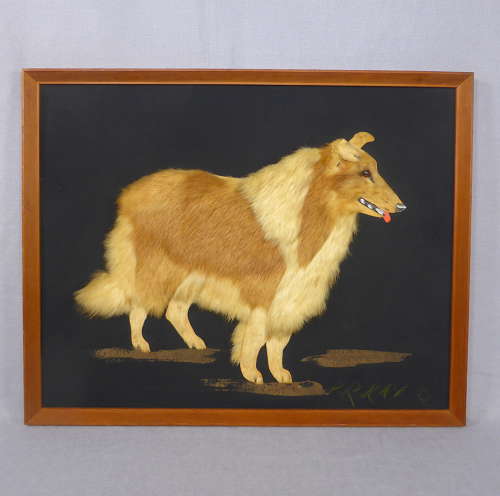 Unusual Fur Dog Picture