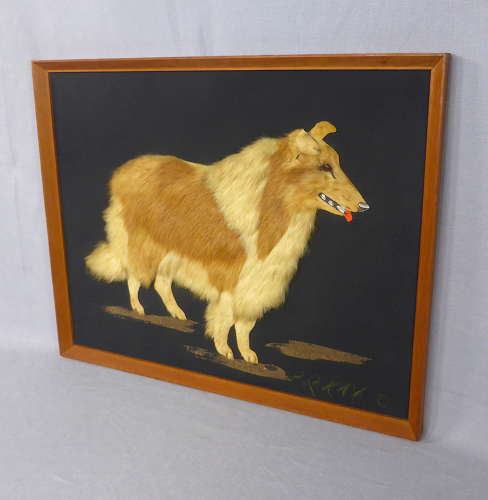Unusual Fur Dog Picture