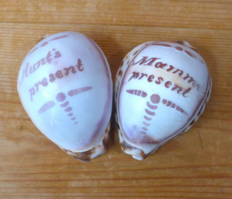 Pair of Early 20th Century Carved Cowrie Shells