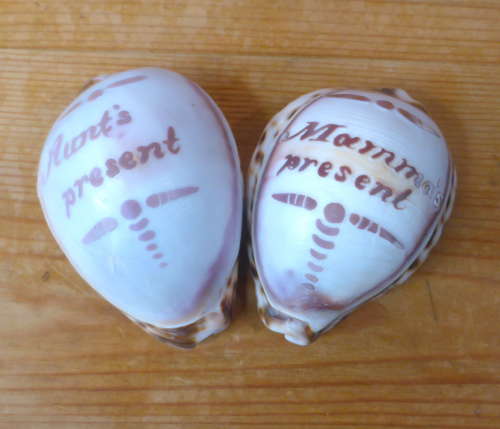 Pair of Early 20th Century Carved Cowrie Shells