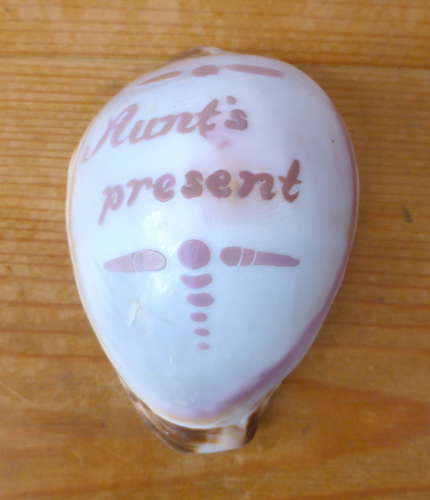 Pair of Early 20th Century Carved Cowrie Shells